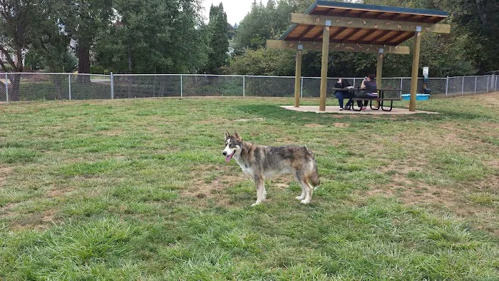 Scappoose Veterans Park - Dog Park 4