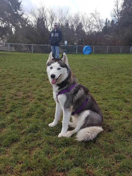 Scappoose Veterans Park - Dog Park 9