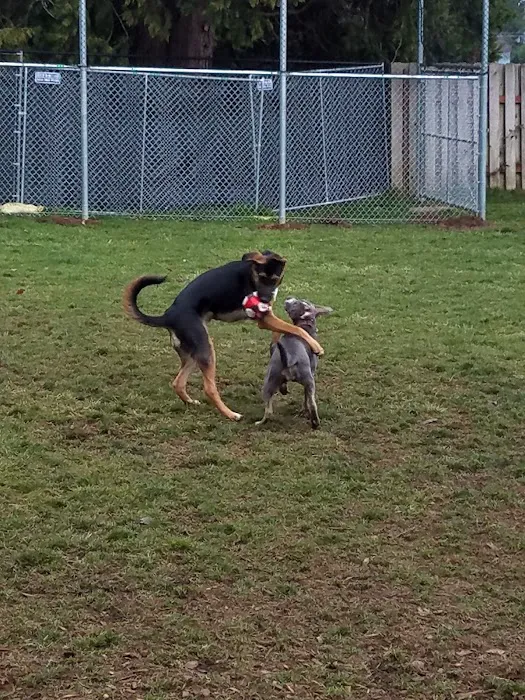 Scappoose Veterans Park - Dog Park 8