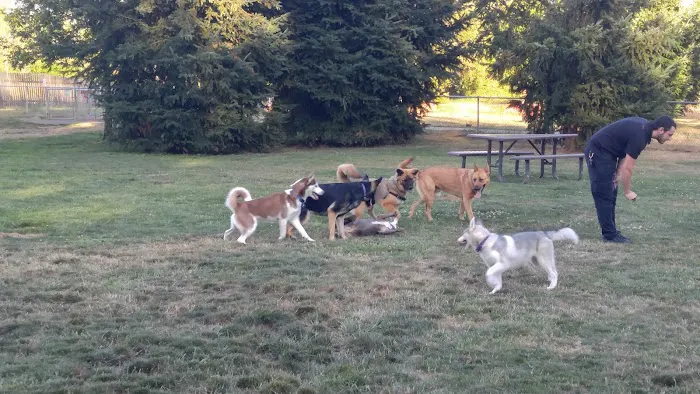 Scappoose Veterans Park - Dog Park 3