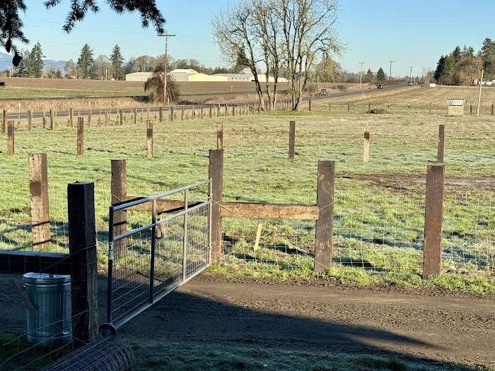 WILD RIDE Dog Park 6
