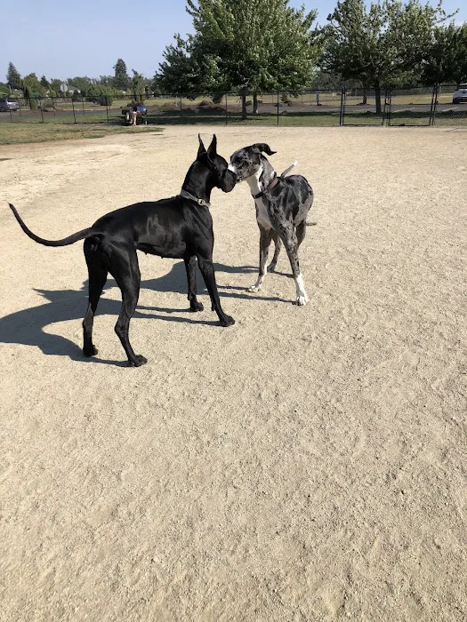 Keizer Rapids Dog Park 5