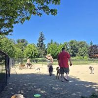Keizer Rapids Dog Park ico