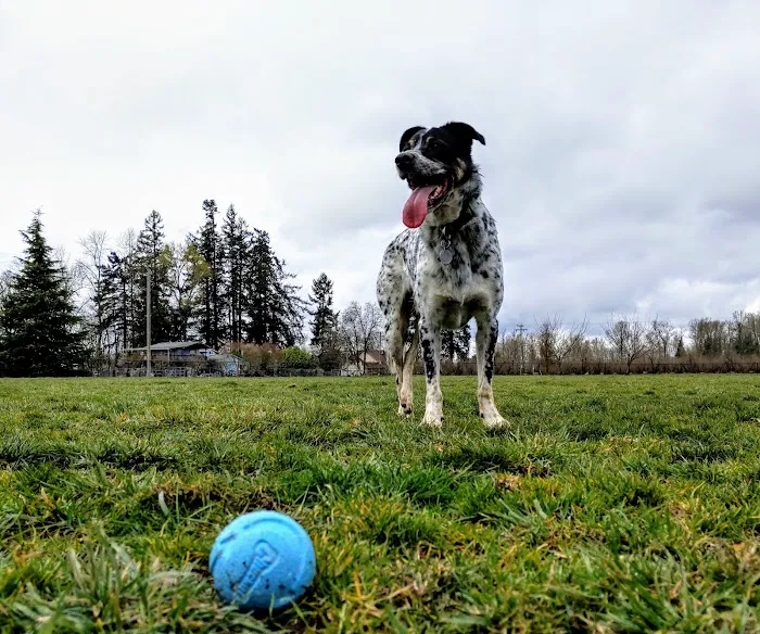 Keizer Rapids Dog Park 9