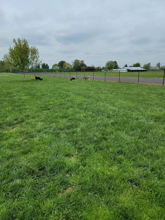 Keizer Rapids Dog Park 6