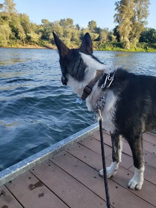 Keizer Rapids Dog Park 4