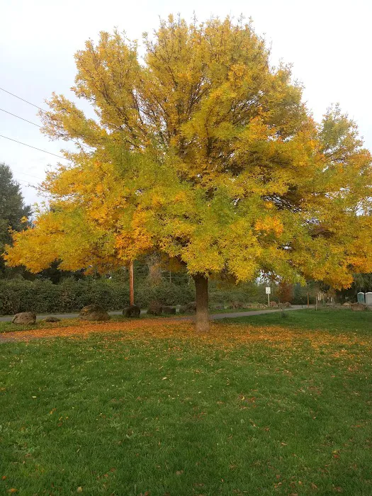 Minto-Brown Island Dog Park 9