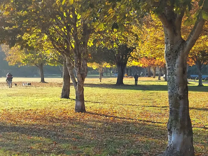 Minto-Brown Island Dog Park 4