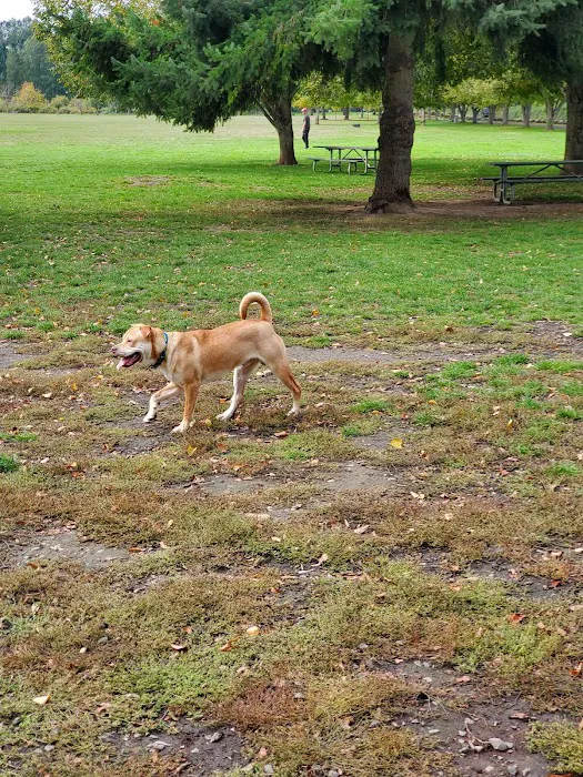 Minto-Brown Island Dog Park 7