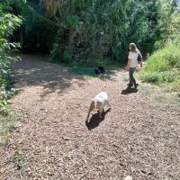 Minto-Brown Island Dog Park ico