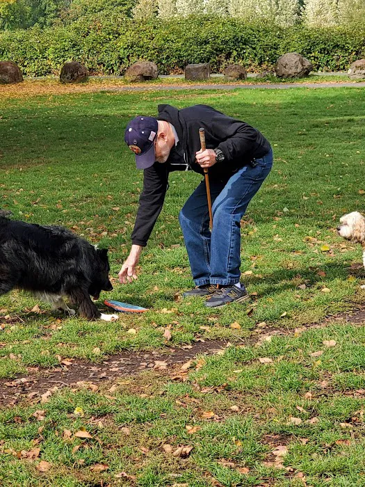 Minto-Brown Island Dog Park 5