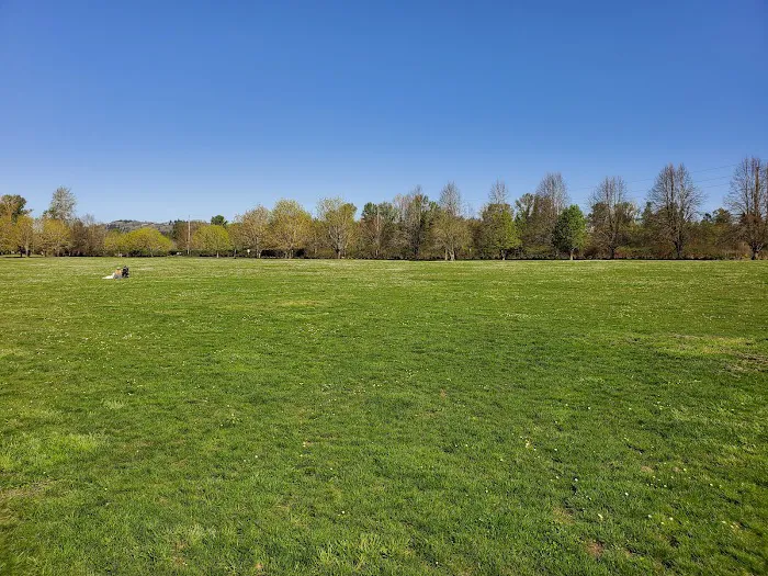 Minto-Brown Island Dog Park 6