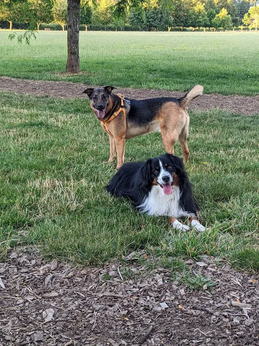Minto-Brown Island Dog Park 8