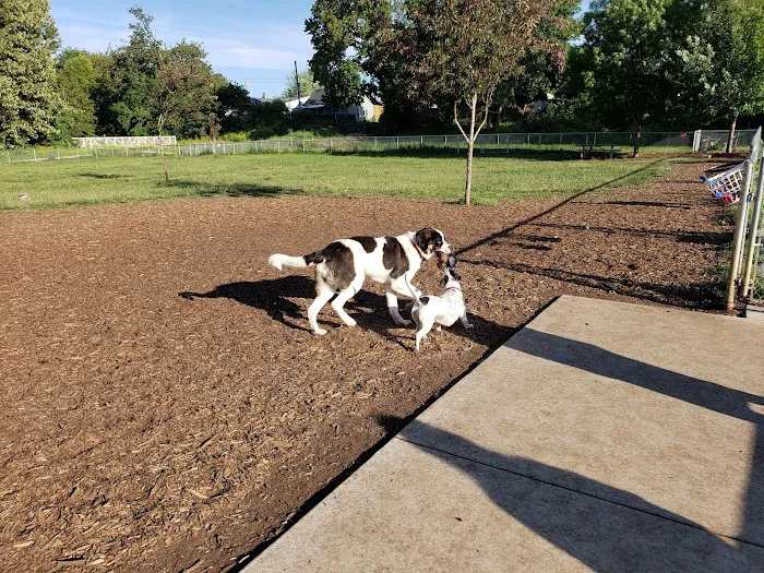 Central Bark Park 6
