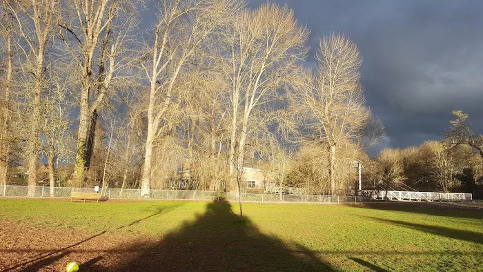 Central Bark Park 8