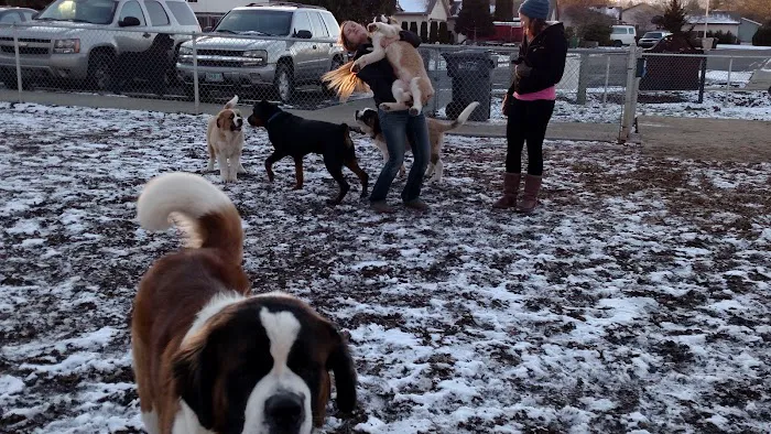 Central Bark Park 1