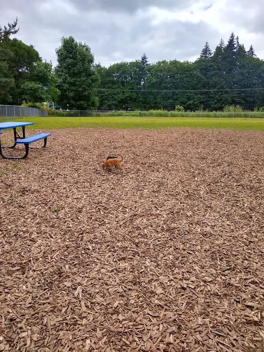 Columbia City Dog Park 6