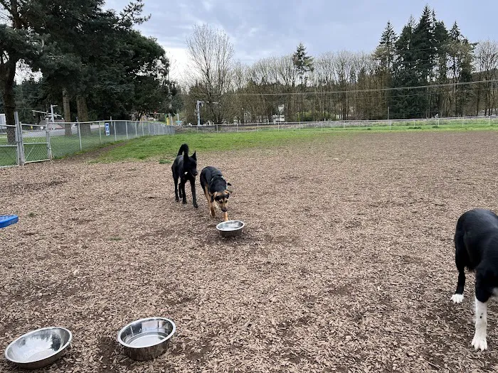 Columbia City Dog Park 7