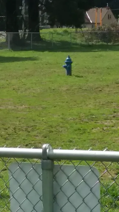 Columbia City Dog Park 10