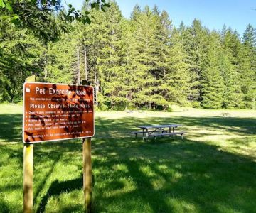 Pet Exercise Area - Silver Falls SP - South Falls Day Use Area
