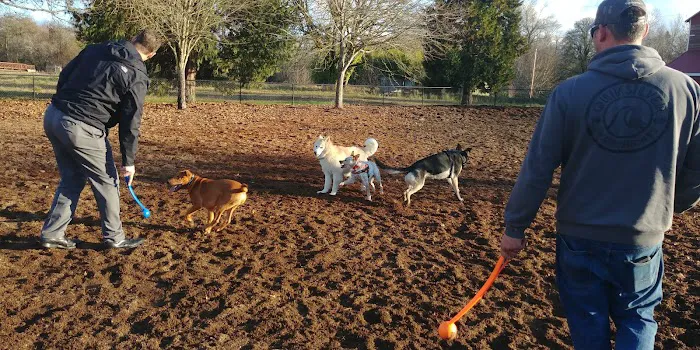 Stayton Community Dog Park 8