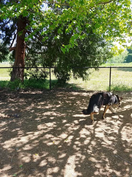 Stayton Community Dog Park 4