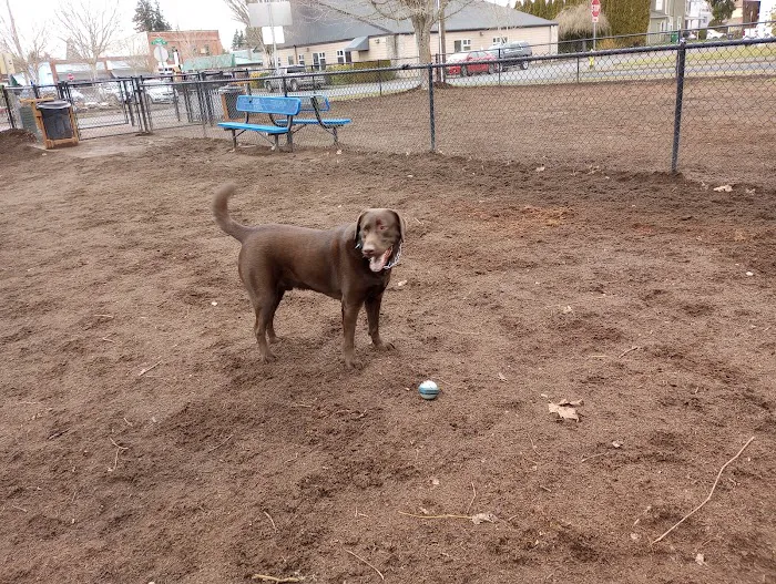 Stayton Community Dog Park 7