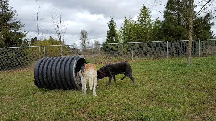 Independence Dog Park 3