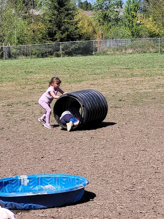 Independence Dog Park 7