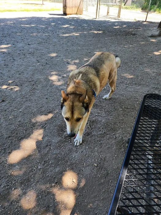 Independence Dog Park 2