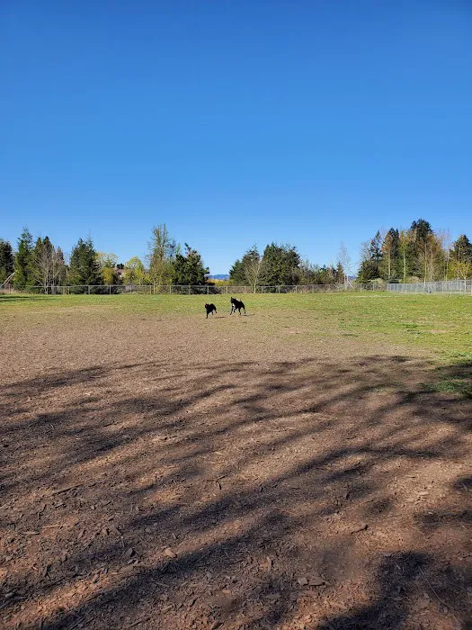 Independence Dog Park 4
