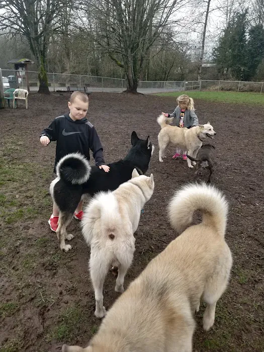 Independence Dog Park 6