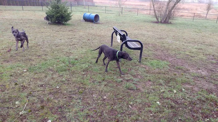 Monmouth Dog Park 6