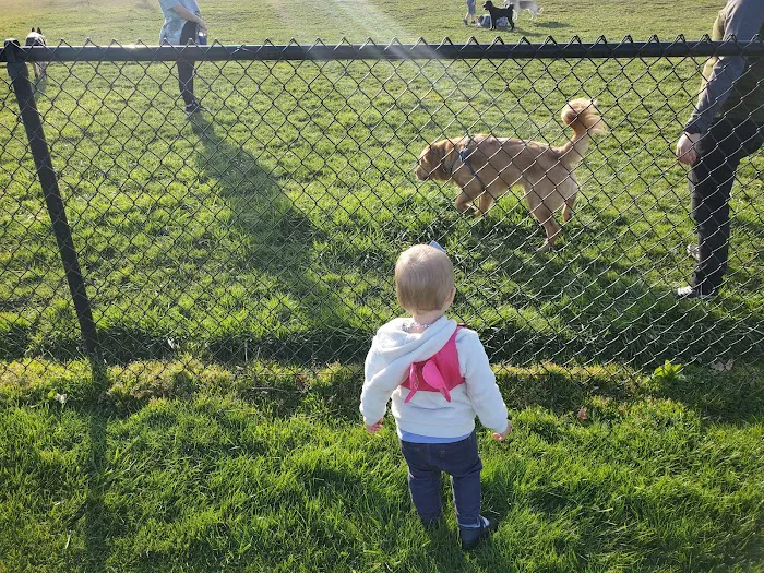 Monmouth Dog Park 3