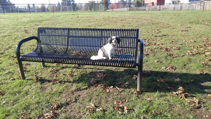 Monmouth Dog Park 5