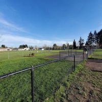 Monmouth Dog Park ico