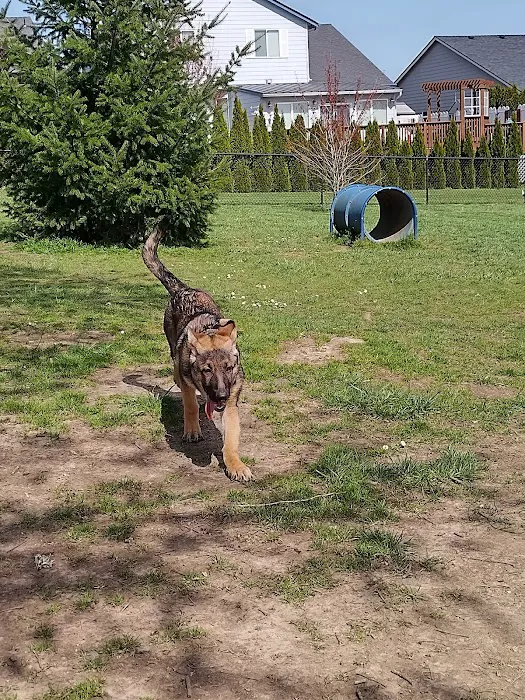 Monmouth Dog Park 8