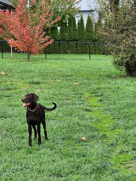 Monmouth Dog Park 7