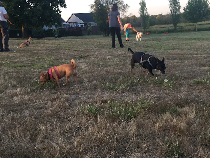 Monmouth Dog Park 10