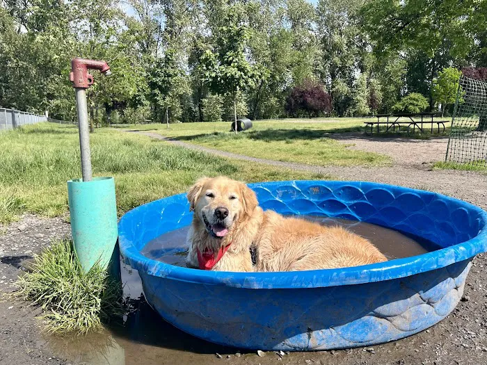 City of Longview Off Leash Dog Park 3