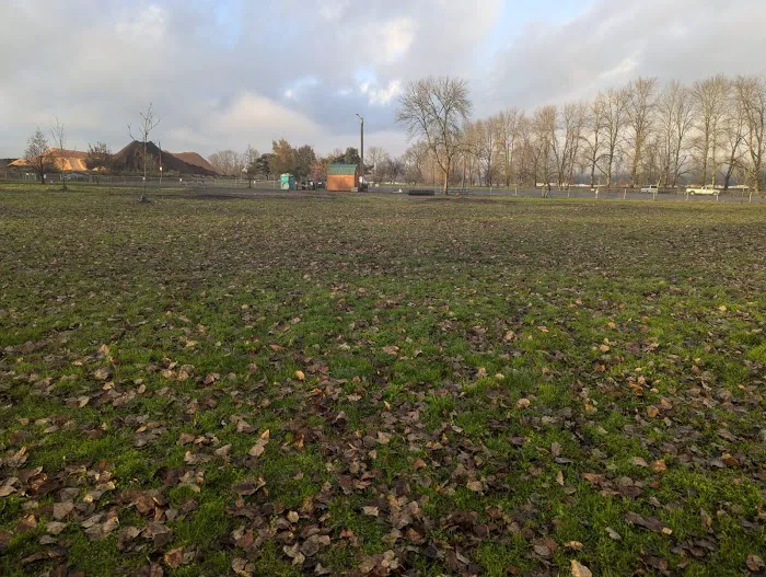 City of Longview Off Leash Dog Park 1