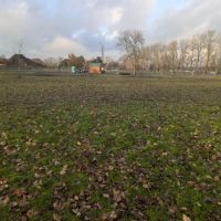 City of Longview Off Leash Dog Park ico