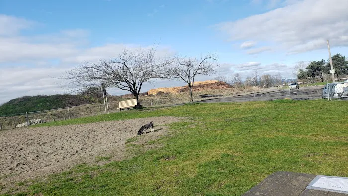 City of Longview Off Leash Dog Park 9