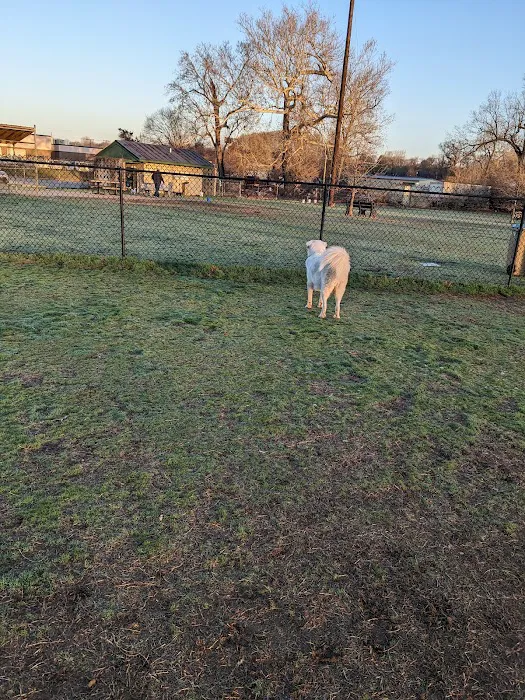 Joe Station Dog Park 10