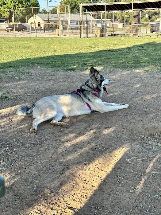 Joe Station Dog Park 4