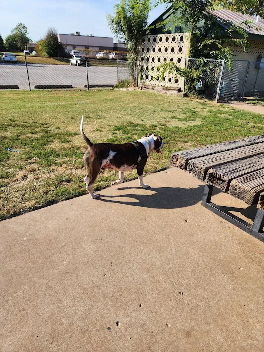 Joe Station Dog Park 8