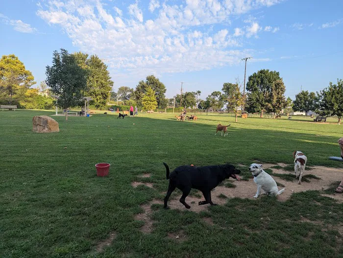 Joe Station Dog Park 6
