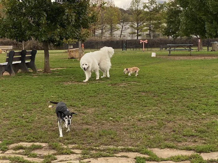 Joe Station Dog Park 7