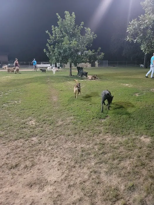 Joe Station Dog Park 9