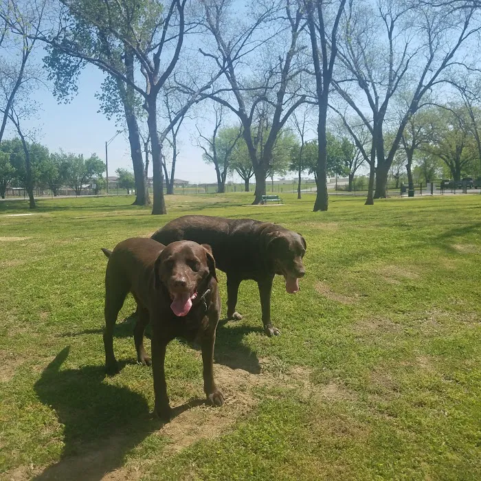 Dog Park 3